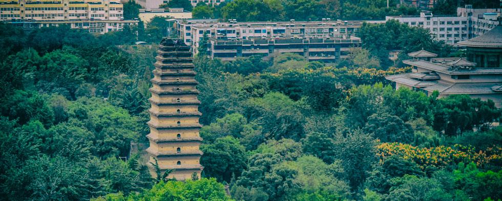 Pequeña Pagoda del Ganso Salvaje