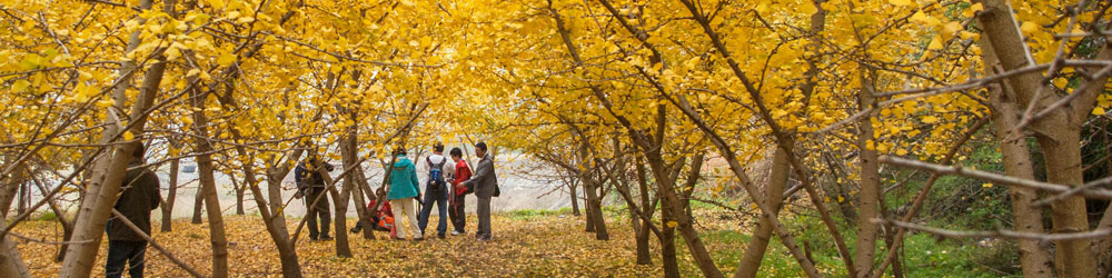 las vista de otoño guilin