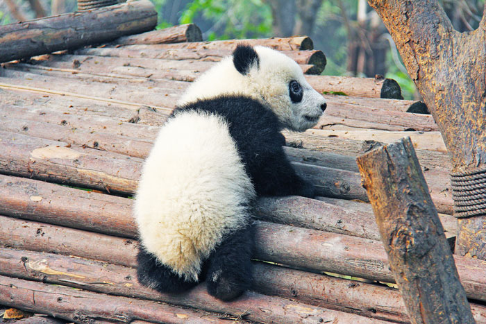 Clima China en agosto
