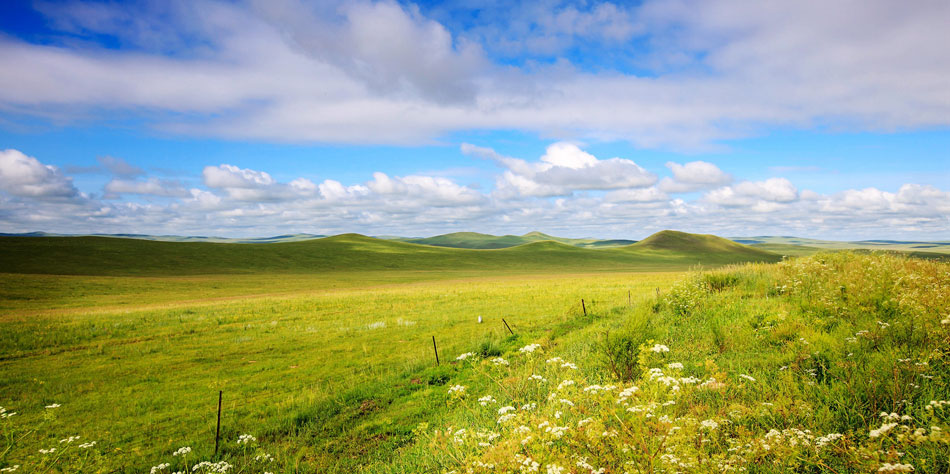 grassland in Inner Mongolia