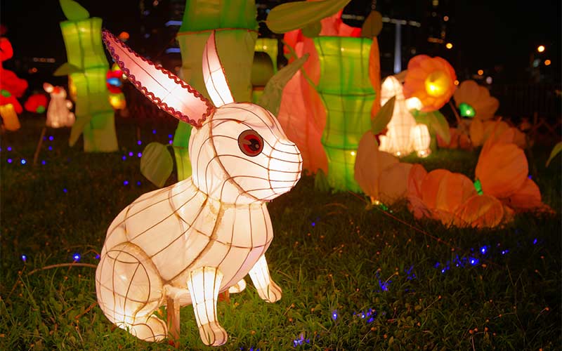 La personalidad del Conejo
