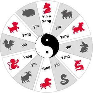El símbolo del yin y el yang