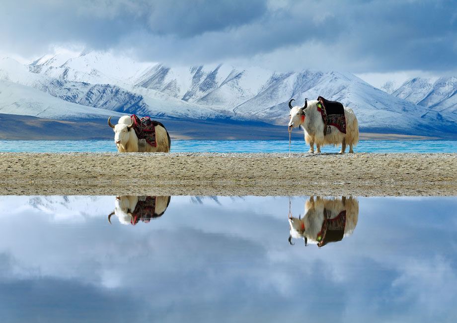 5 Días Lhasa Esencias y Lago Sagrado Yamdrok