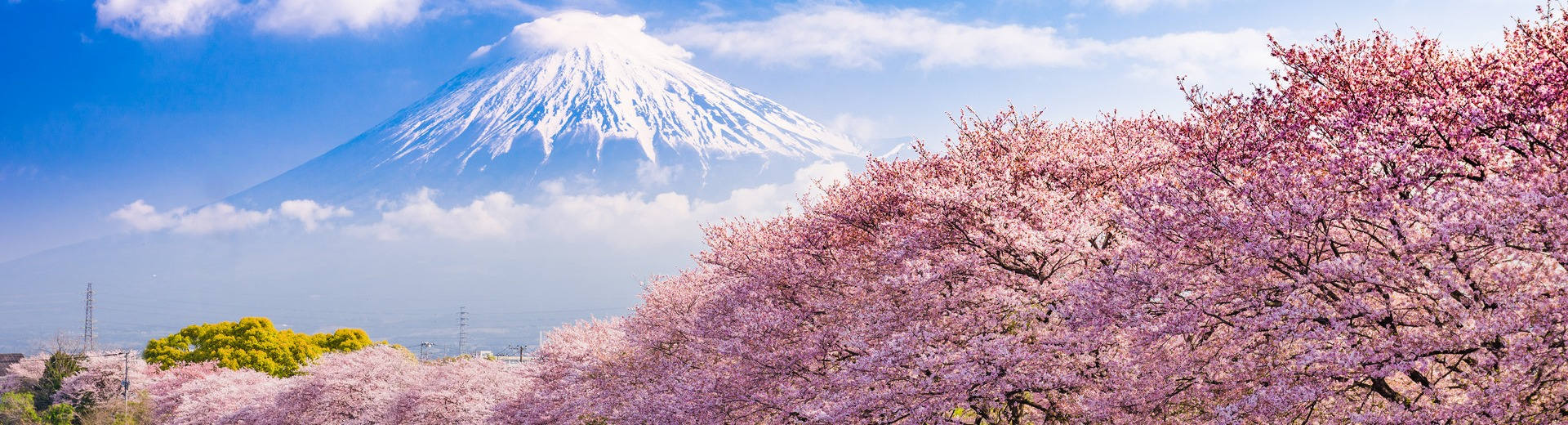 Viaje a Japón en mini grupo de 10 días por Tokio, Kioto y Osaka en 2023